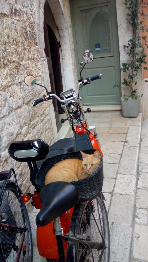 Bunari Studio Apartment Rovinj Bagian luar foto